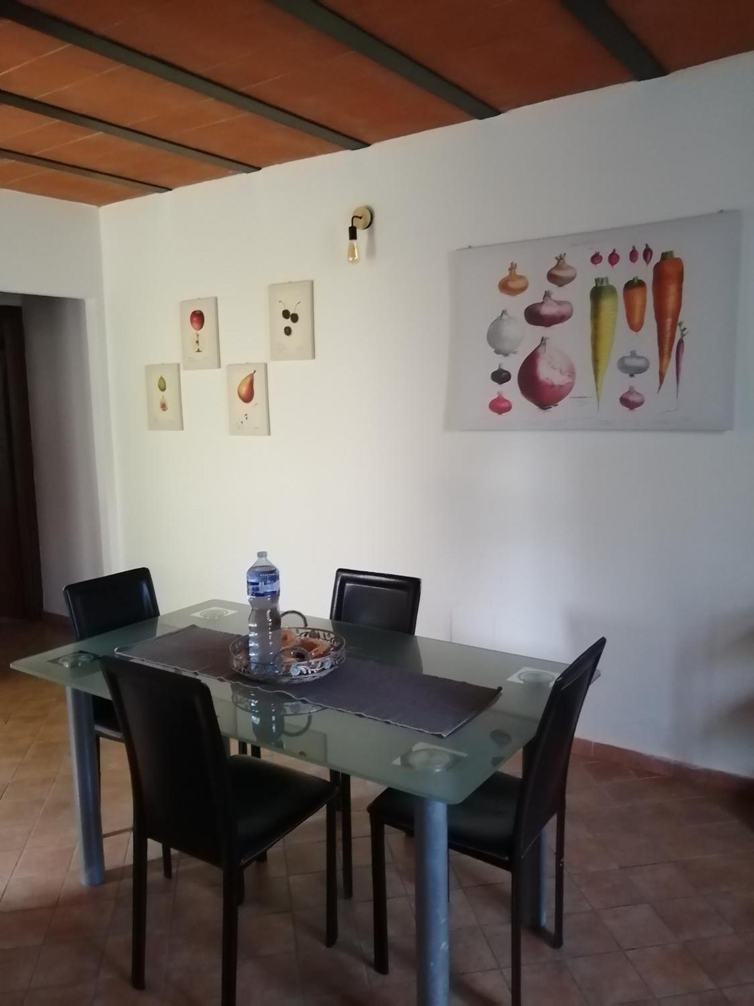 A Casa Mia Apartment ปิซา ภายนอก รูปภาพ